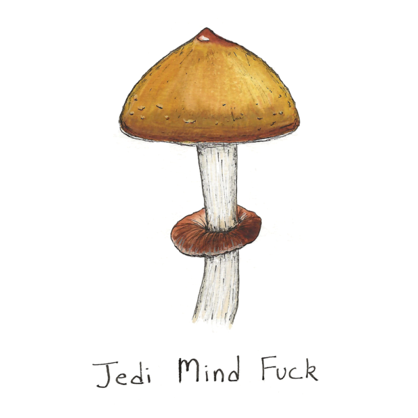 Jedi Mind Fuck Mushroom Spores